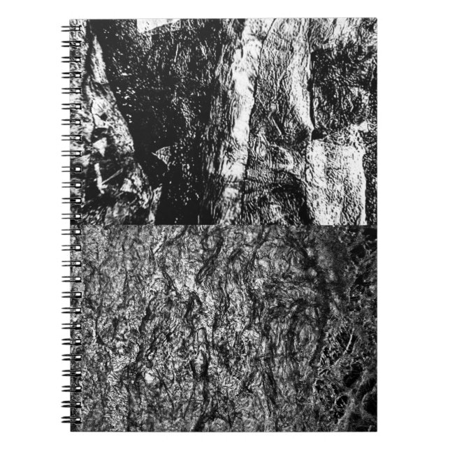 Caderno Espiral Notebook de fotos espiral (Frente)