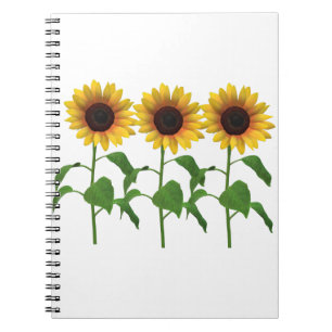 Caderno Espiral Notebook de fotos espiral