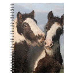 Caderno Espiral Notebook de fotos espiral