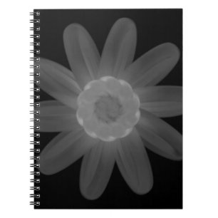 Caderno Espiral Notebook de fotos espiral
