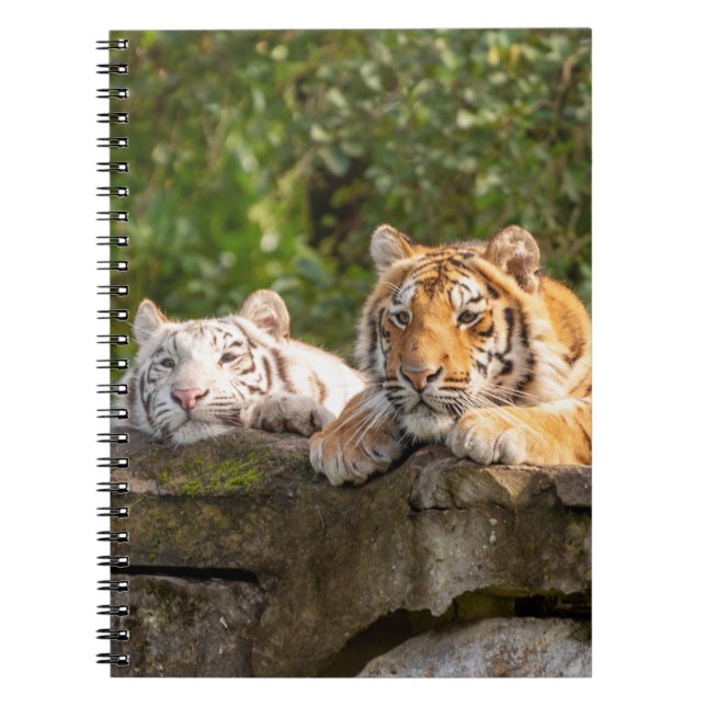 Caderno Espiral Notebook de fotos espiral (Frente)