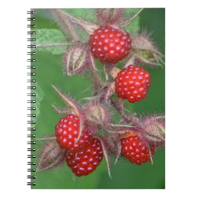 Caderno Espiral Notebook de framboesa (Frente)