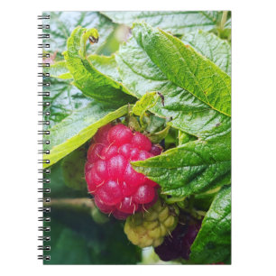 Caderno Espiral Notebook de framboesa