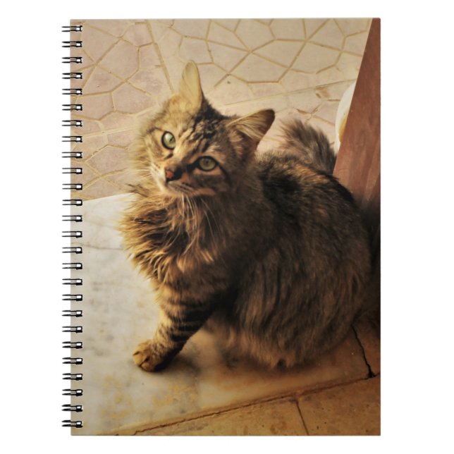Caderno Espiral Notebook de Gatinho curioso (Frente)