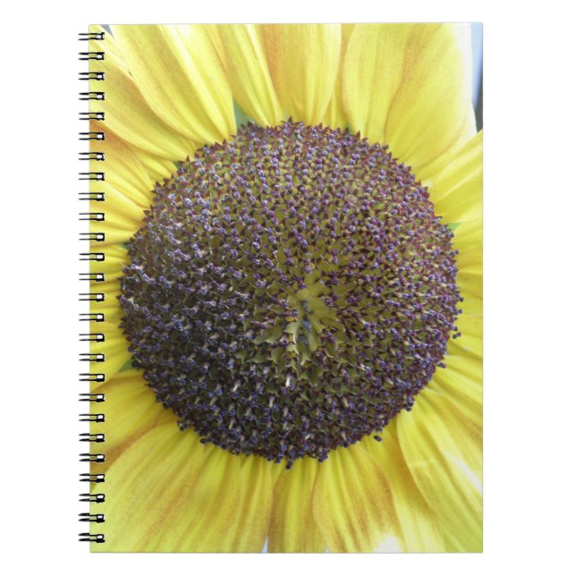 Caderno Espiral Notebook de girassol amarelo (Frente)
