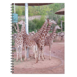 Caderno Espiral Notebook de grupo nº 2