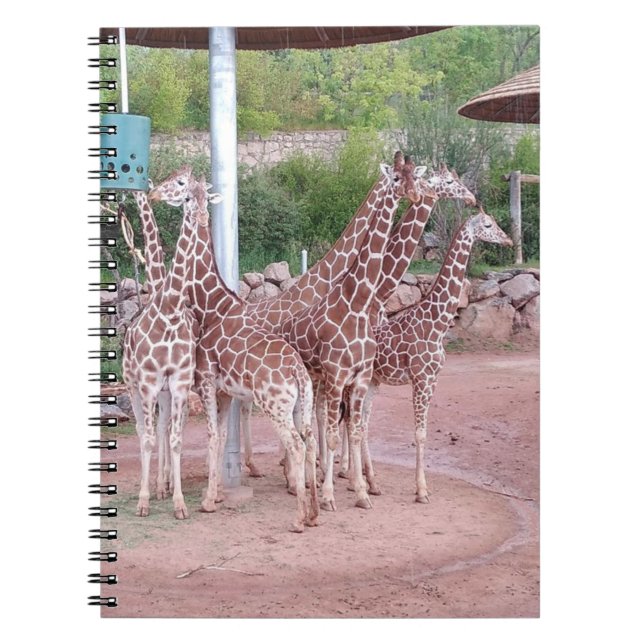 Caderno Espiral Notebook de grupo nº 2 (Frente)