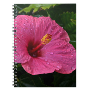 Caderno Espiral Notebook de Hibiscus Rosa
