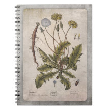 Notebook de ilustração botânica - Dandelion