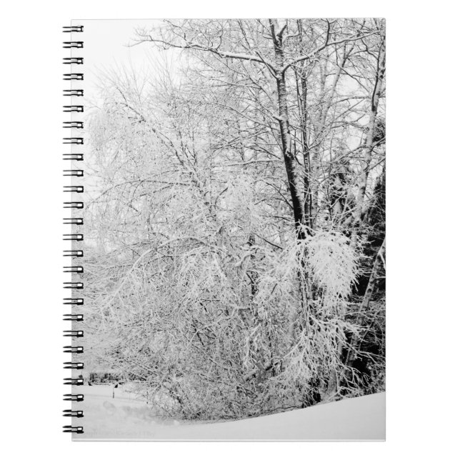 Caderno Espiral Notebook de inverno branco (Frente)