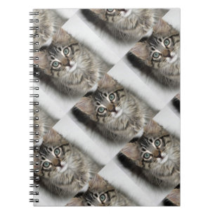 Caderno Espiral Notebook de Kitten