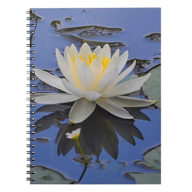 Caderno Espiral Notebook de lírio de água (Frente)