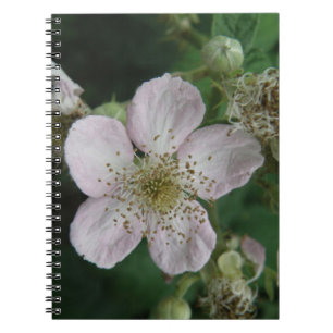 Caderno Espiral Notebook de Macro Flor Blackberry