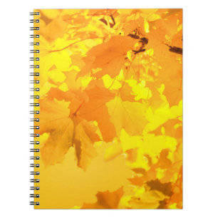Caderno Espiral Notebook de Mapeamento Amarelo