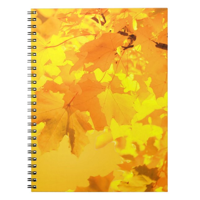 Caderno Espiral Notebook de Mapeamento Amarelo (Frente)
