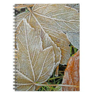 Caderno Espiral Notebook de Mapeamento Congelado