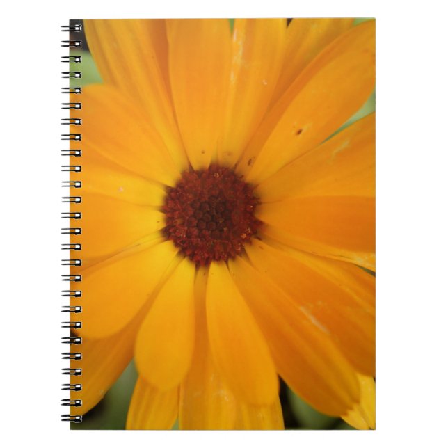 Caderno Espiral Notebook de margarida laranja (Frente)