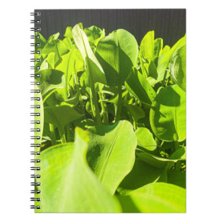 Caderno Espiral Notebook de Oásis Verde - Design de Plantas Verdes