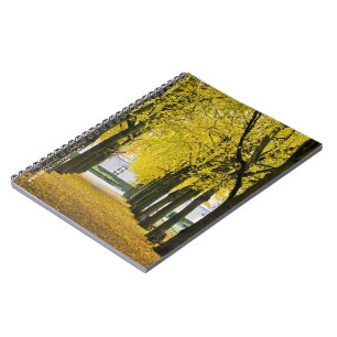 Caderno Espiral Notebook de outono