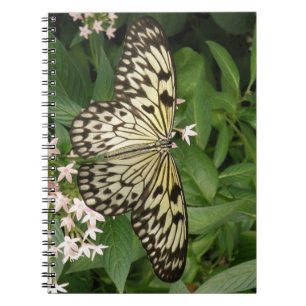 Caderno Espiral Notebook de papagaio