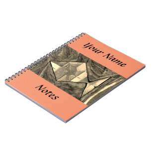 Caderno Espiral Notebook de peixe bonito