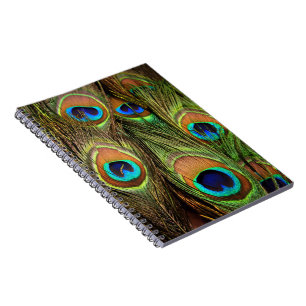 Caderno Espiral Notebook de Penas de Penas de Peacock