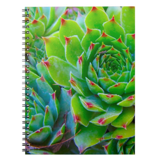 Caderno Espiral Notebook de planta verde (Frente)