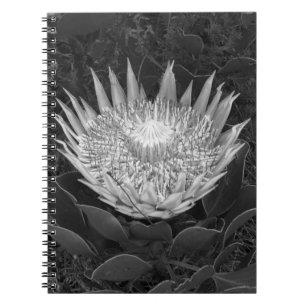 Caderno Espiral Notebook de proteína branca e preta