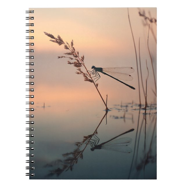 Caderno Espiral Notebook de Reflexão Dragonfly Dawn (Frente)