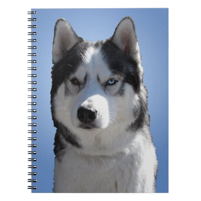 Caderno Espiral Notebook de rouco Siberian Husky Dons & Livros (Frente)