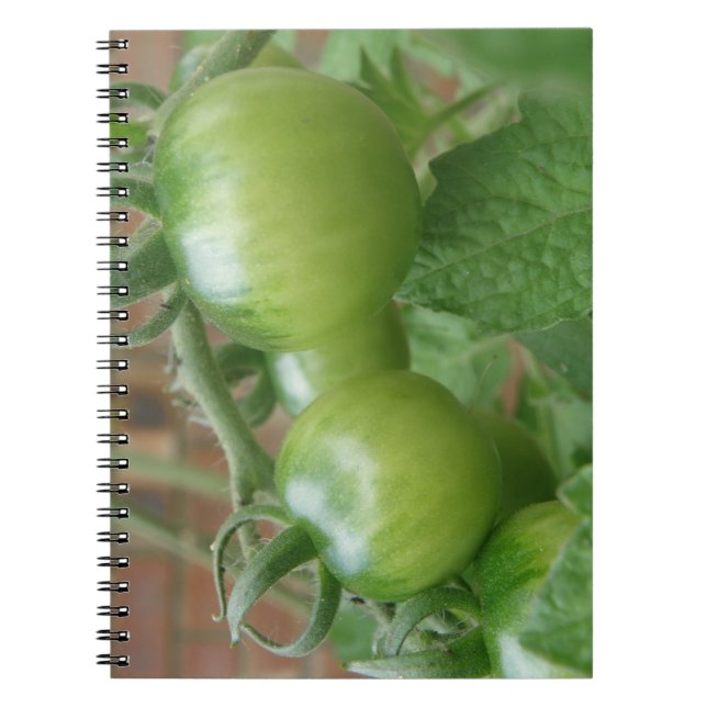 Caderno Espiral Notebook de tomate verde (Frente)