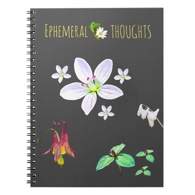 Caderno Espiral Notebook de Vazio Ephemeral Thoughts (Frente)