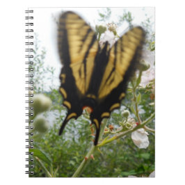 Caderno Espiral Notebook de Verão