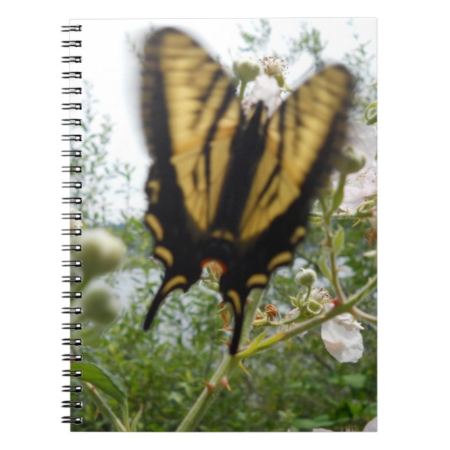 Caderno Espiral Notebook de Verão (Frente)