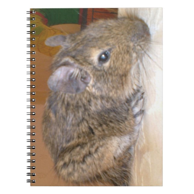 Caderno Espiral Notebook Degu Relaxing (Frente)