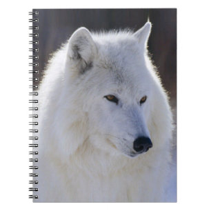 Caderno Espiral Notebook do Lobo Branco Ártico