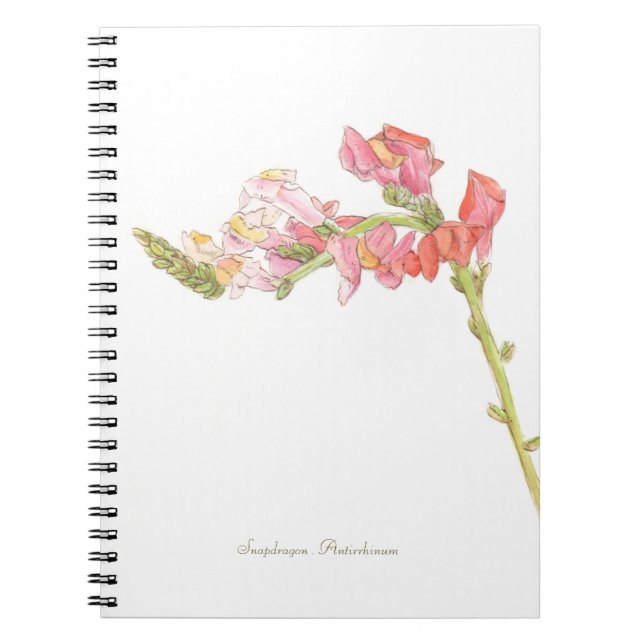 Caderno Espiral Notebook do Snapdragon (Frente)