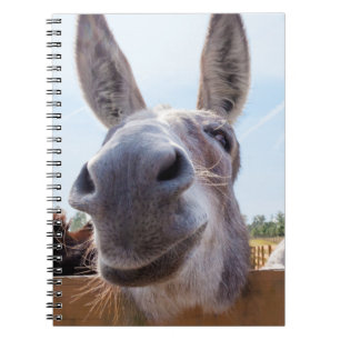 Caderno Espiral Notebook Donkey sorridente