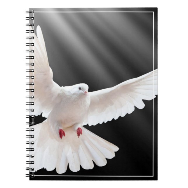 Caderno Espiral Notebook Dove (Frente)