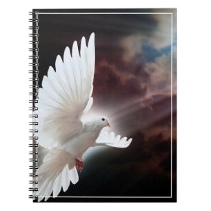 Caderno Espiral Notebook Dove