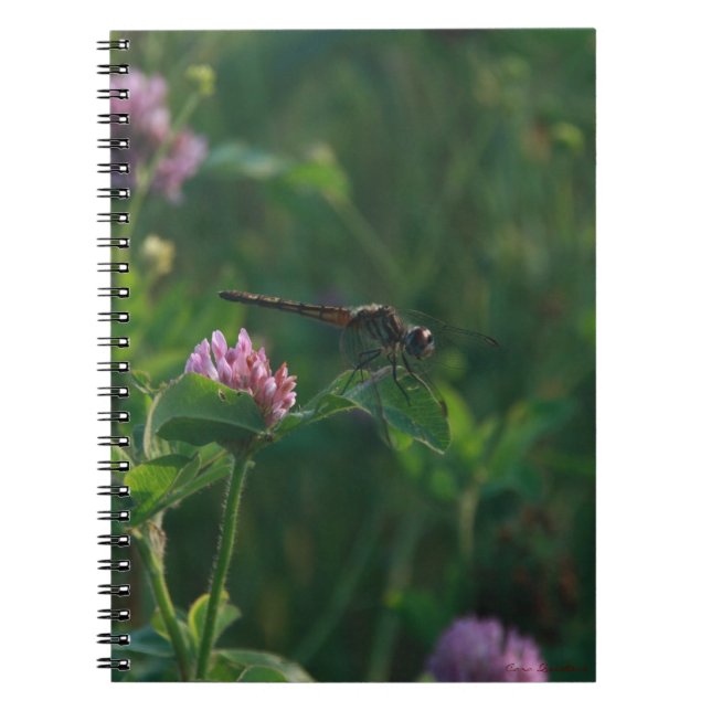 Caderno Espiral Notebook Dragonfly (Frente)