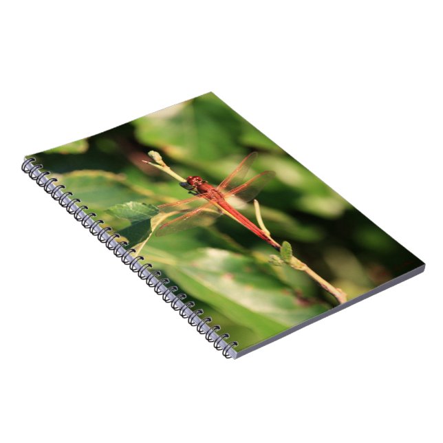 Caderno Espiral Notebook Dragonfly #3725 (Lado Direito)