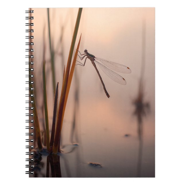Caderno Espiral Notebook Dragonfly Misty Dawn (Frente)