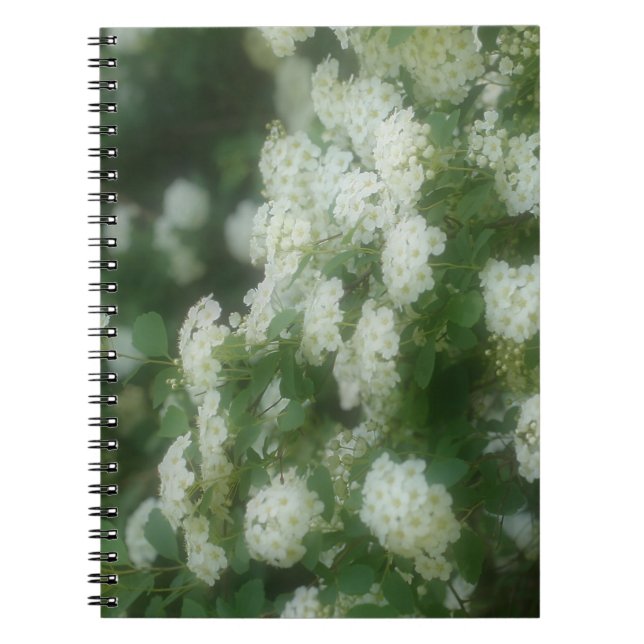 Caderno Espiral Notebook Dreamy Wild White Roses Flor Nature (Frente)