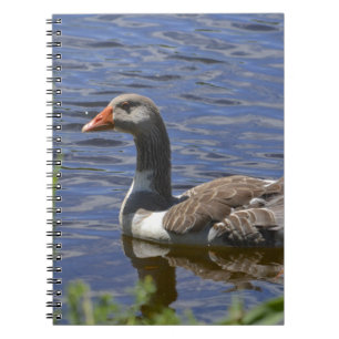 Caderno Espiral Notebook Duck