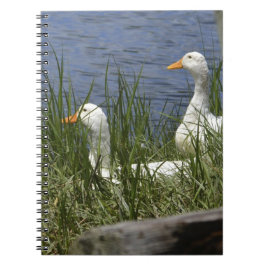 Caderno Espiral Notebook Duck