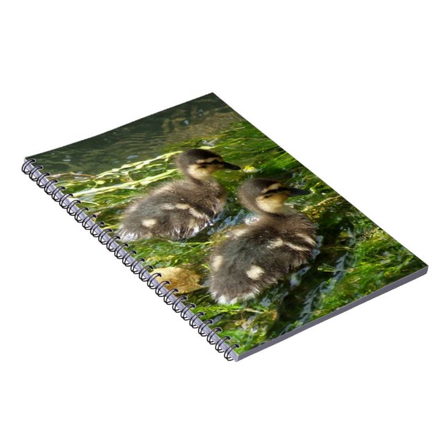 Caderno Espiral Notebook Ducklings (Lado Direito)