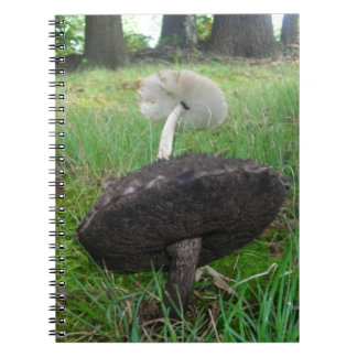 Caderno Espiral Notebook Ebony e Ivory Fungi