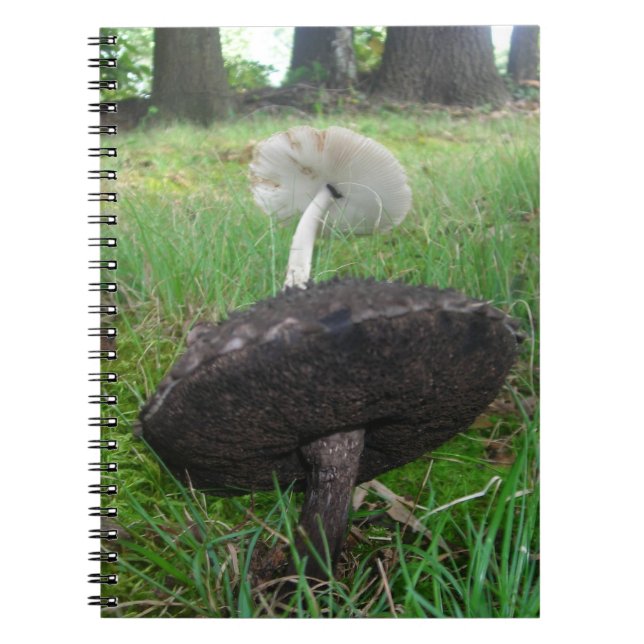 Caderno Espiral Notebook Ebony e Ivory Fungi (Frente)