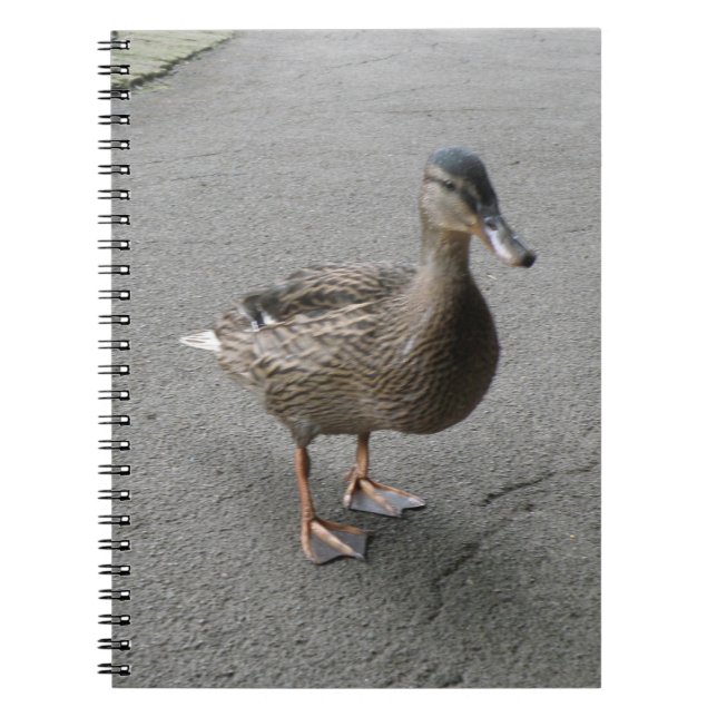 Caderno Espiral Notebook Engraçado Waddling Duck (Frente)